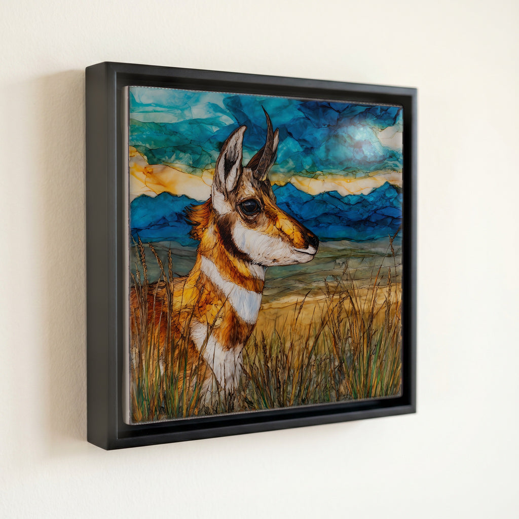 a pronghorn buck alert on the — front
