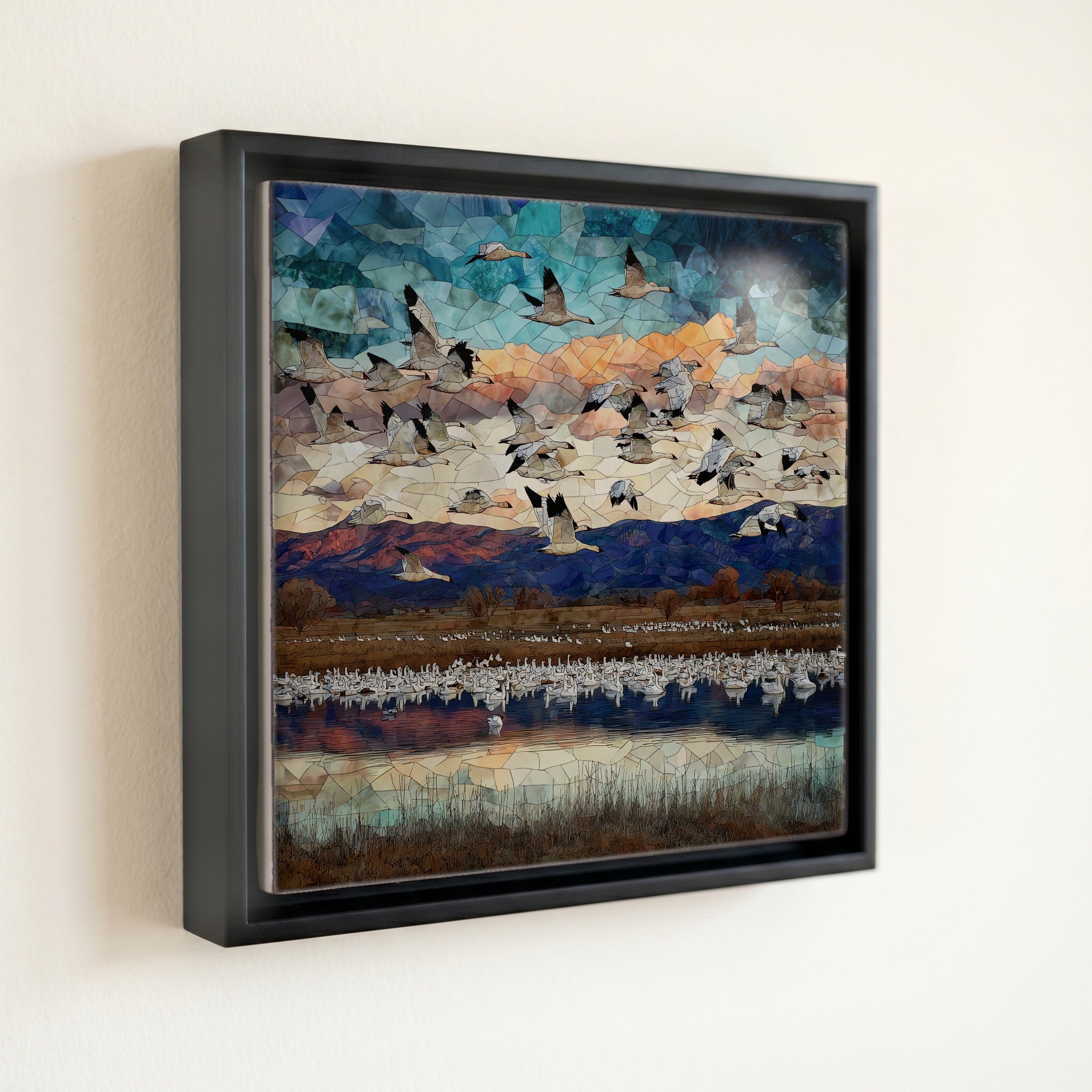 Snow geese — front