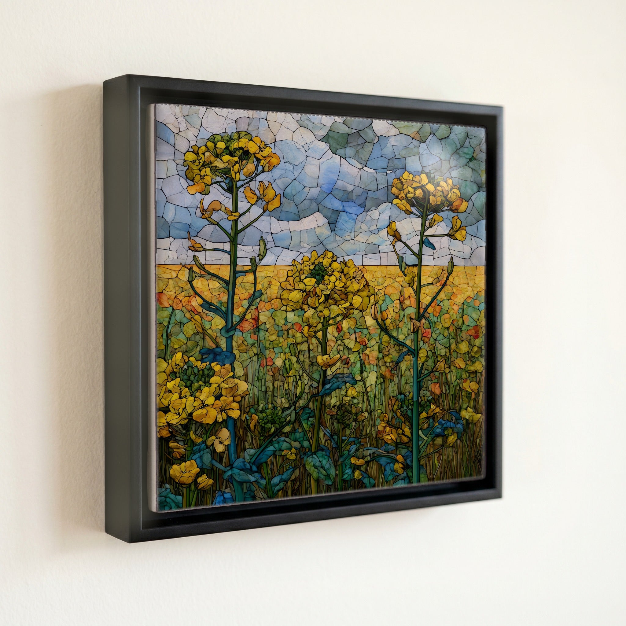 a North Dakota canola — front