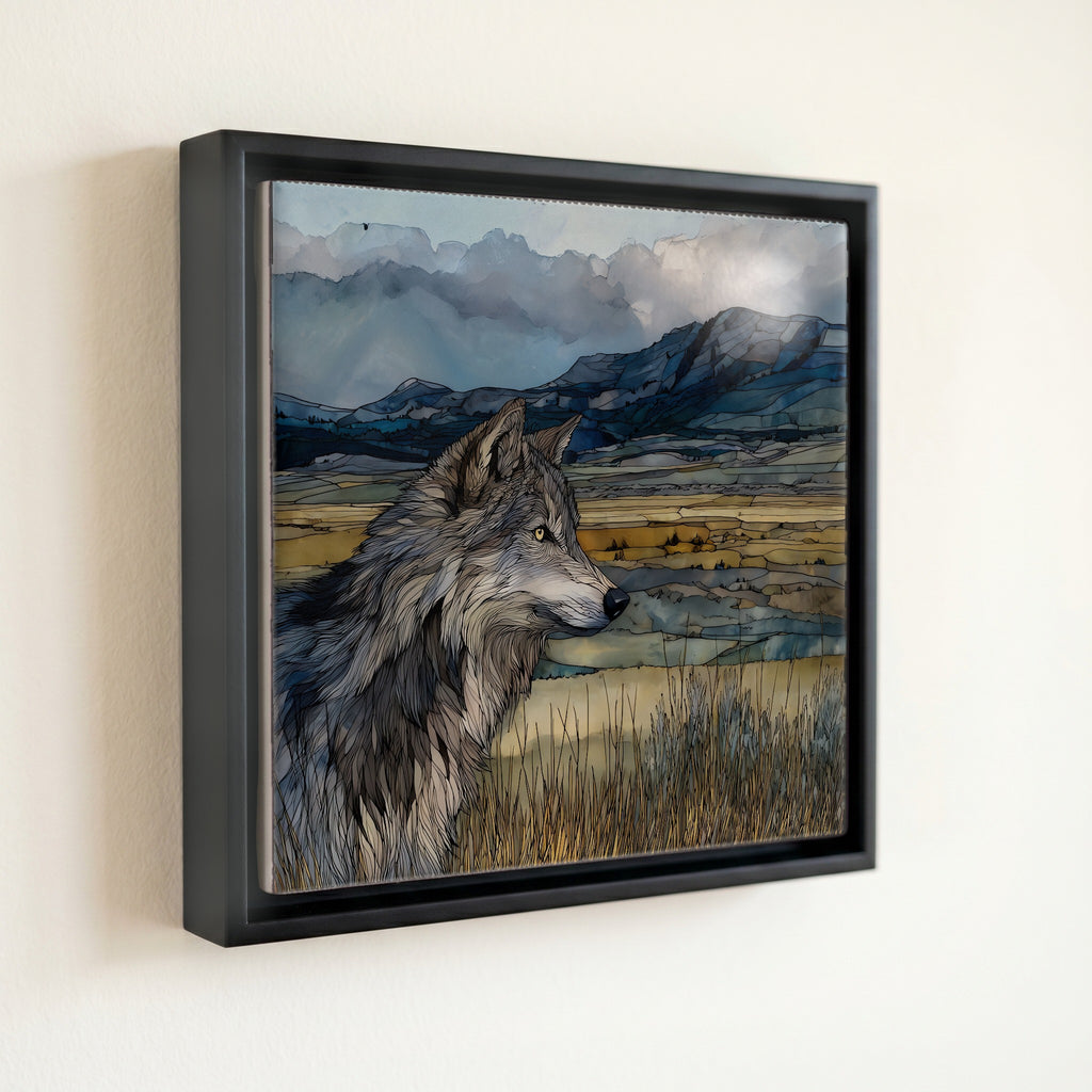 a gray wolf — front