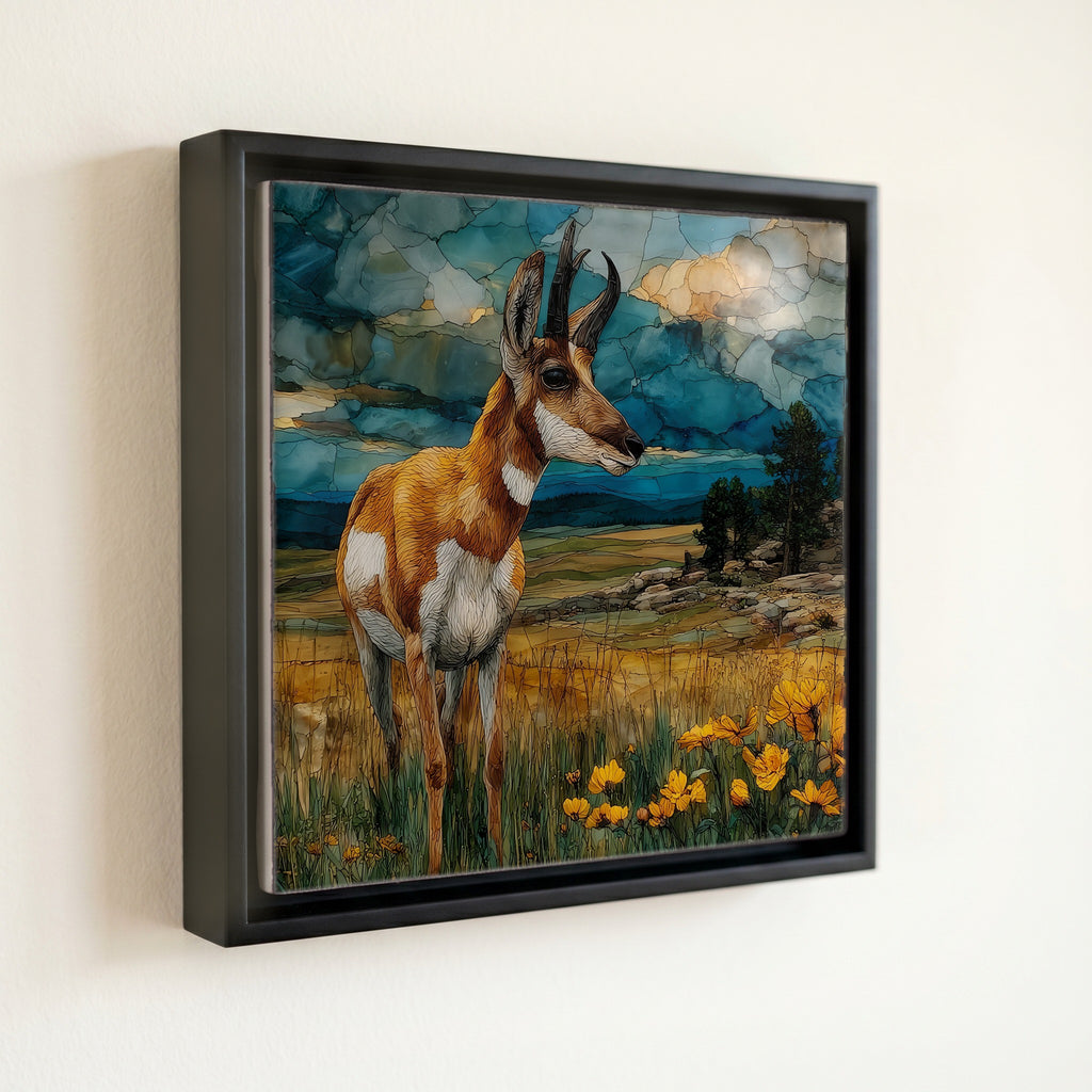 a pronghorn antelope on the Kaibab — front