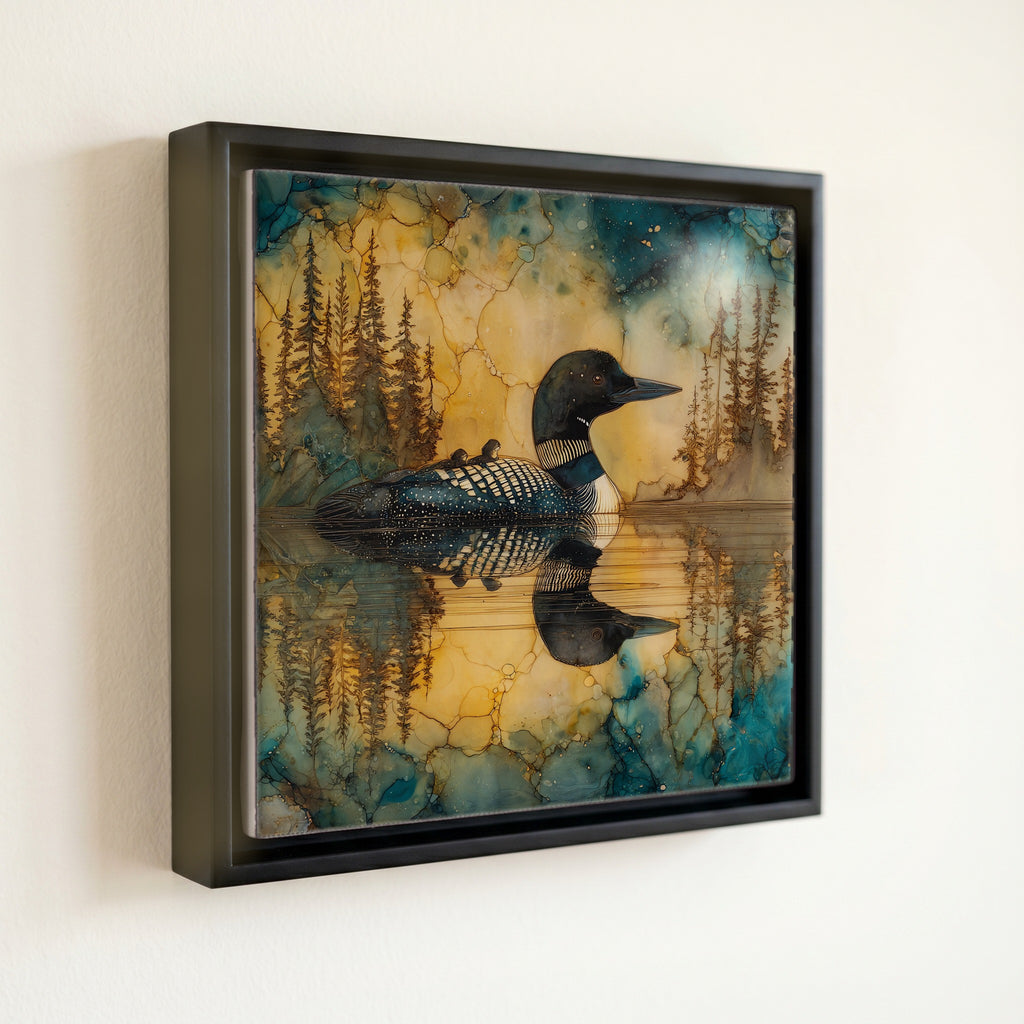 a common loon on an Adirondack — front