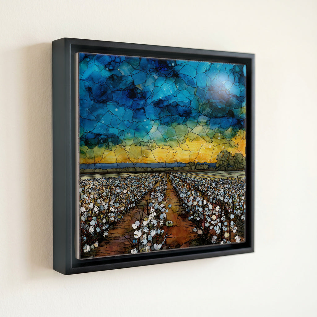 the Mississippi Delta cotton — front