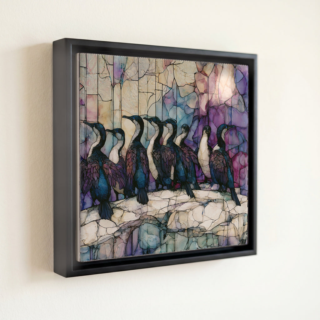 Cape cormorants drying their — front