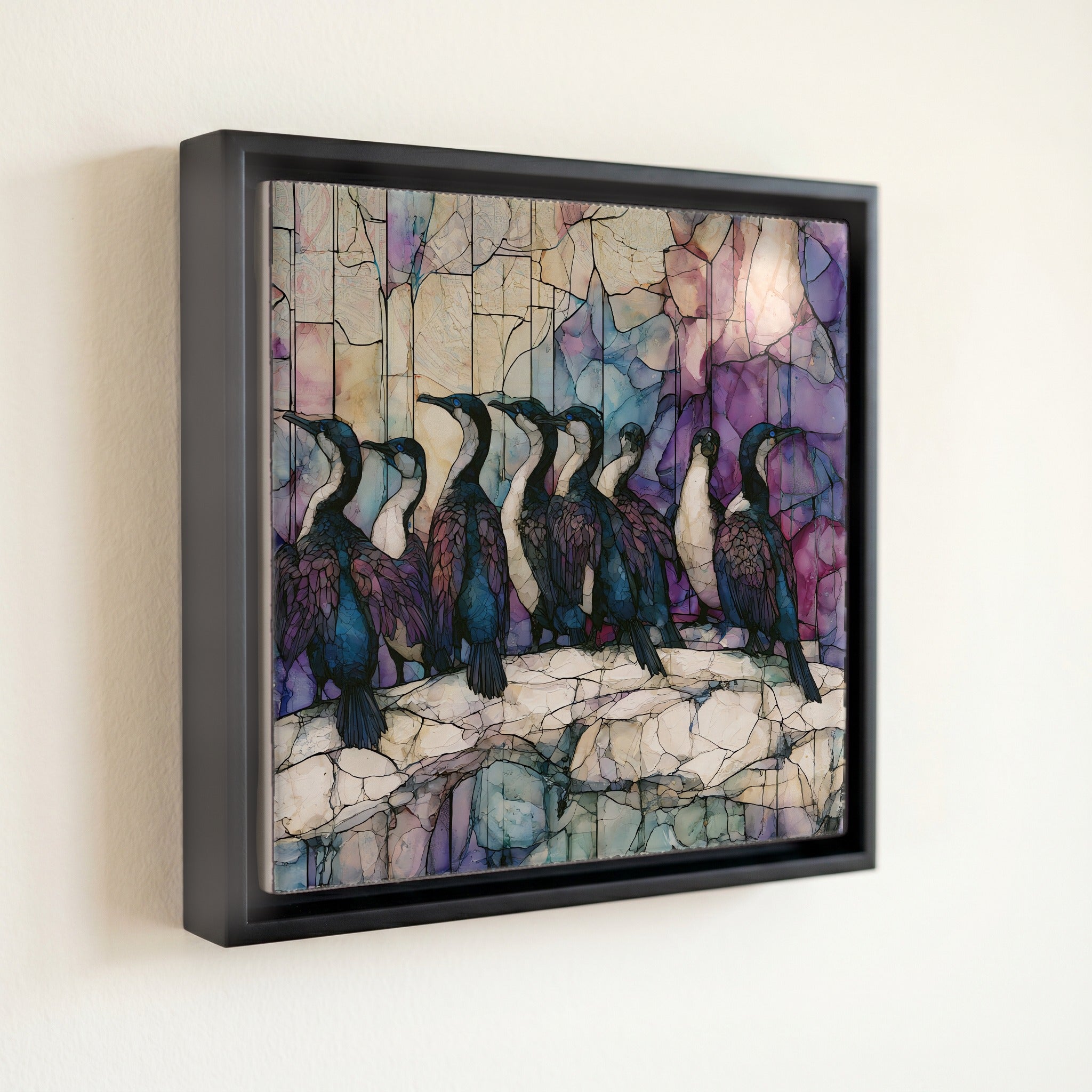 Cape cormorants drying their — front