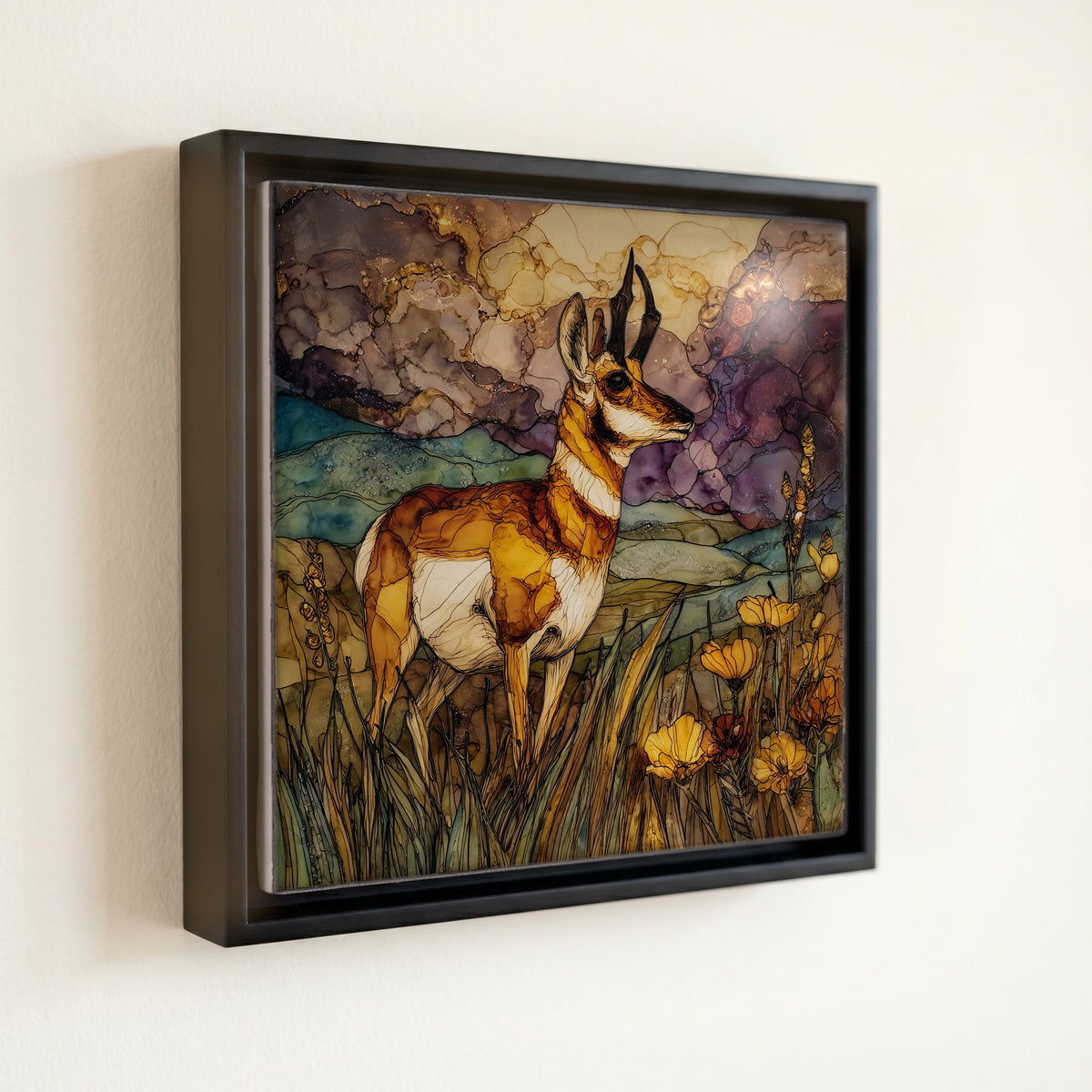 a pronghorn antelope on — front