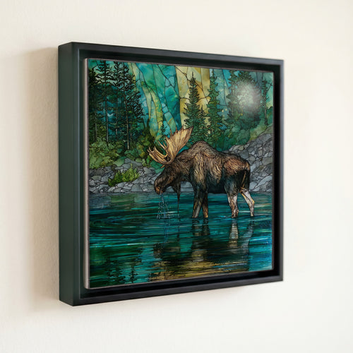 a bull moose — front