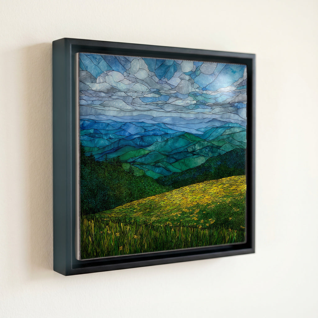 Cole Mountain bald on the Appalachian — front