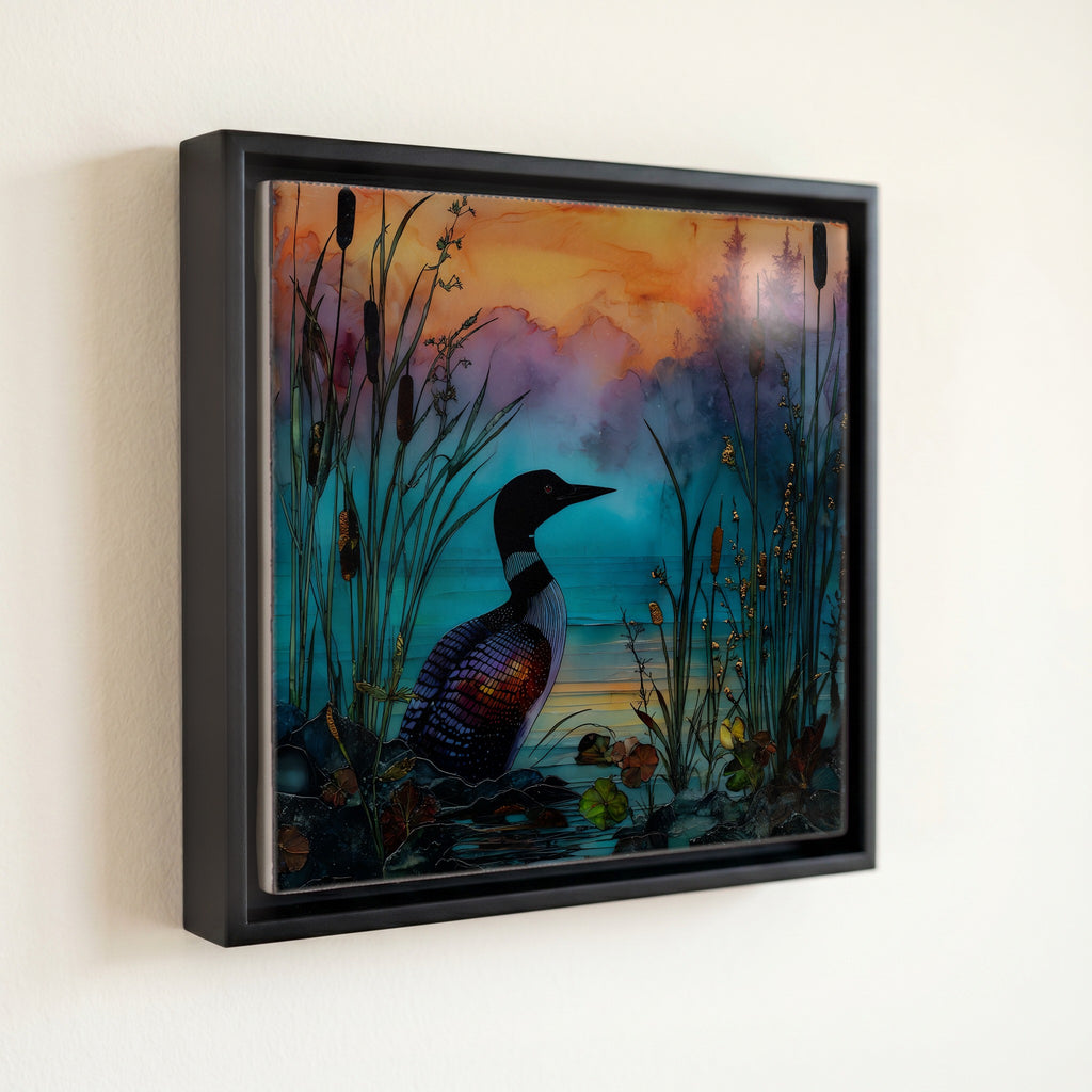 Common Loon on a — front