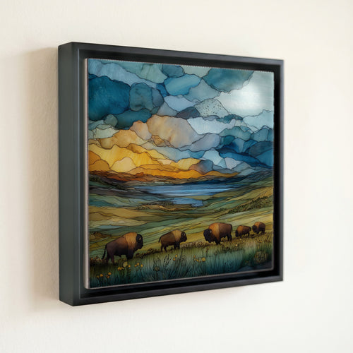 a bison herd — front