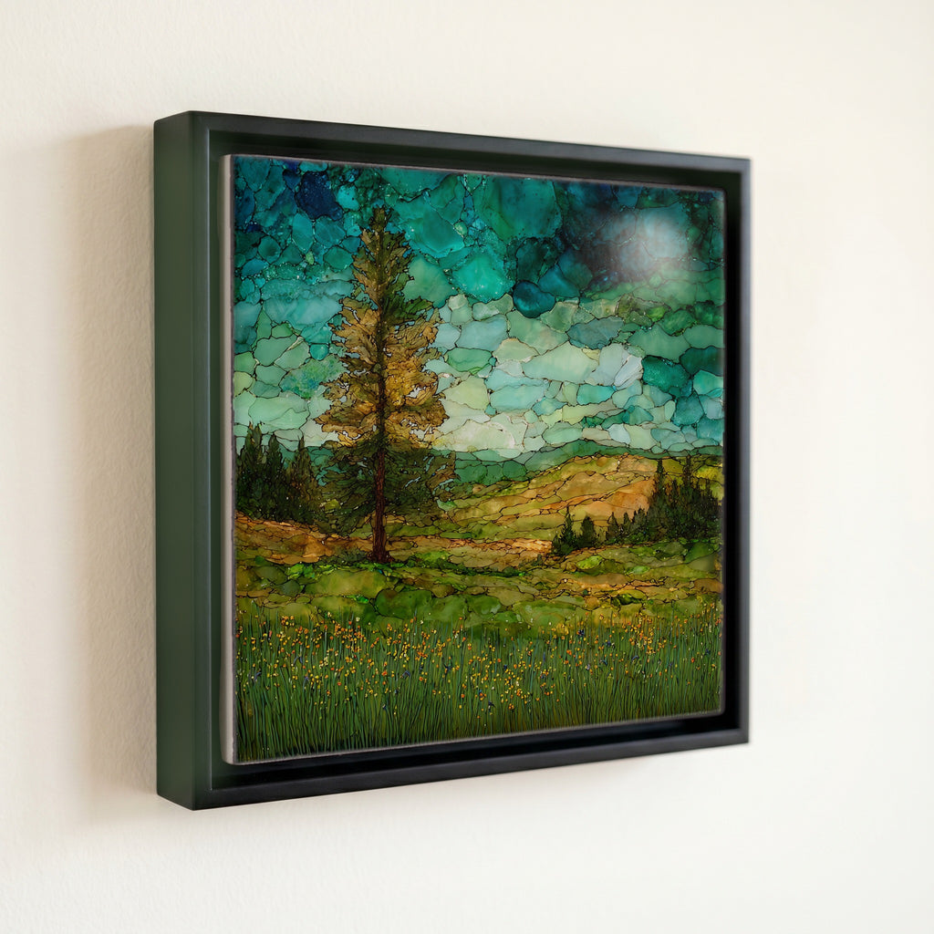 a Pine Ridge meadow — front