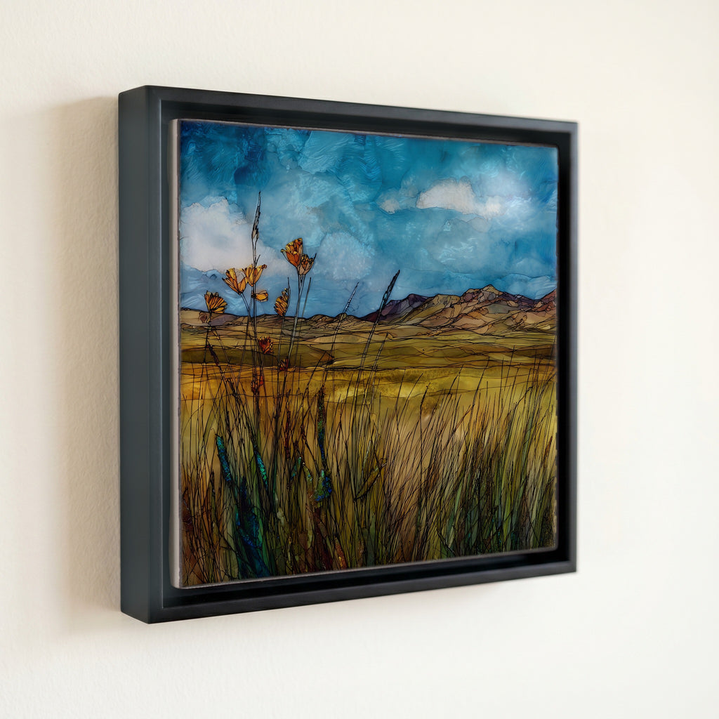 the Cimarron National Grassland — front