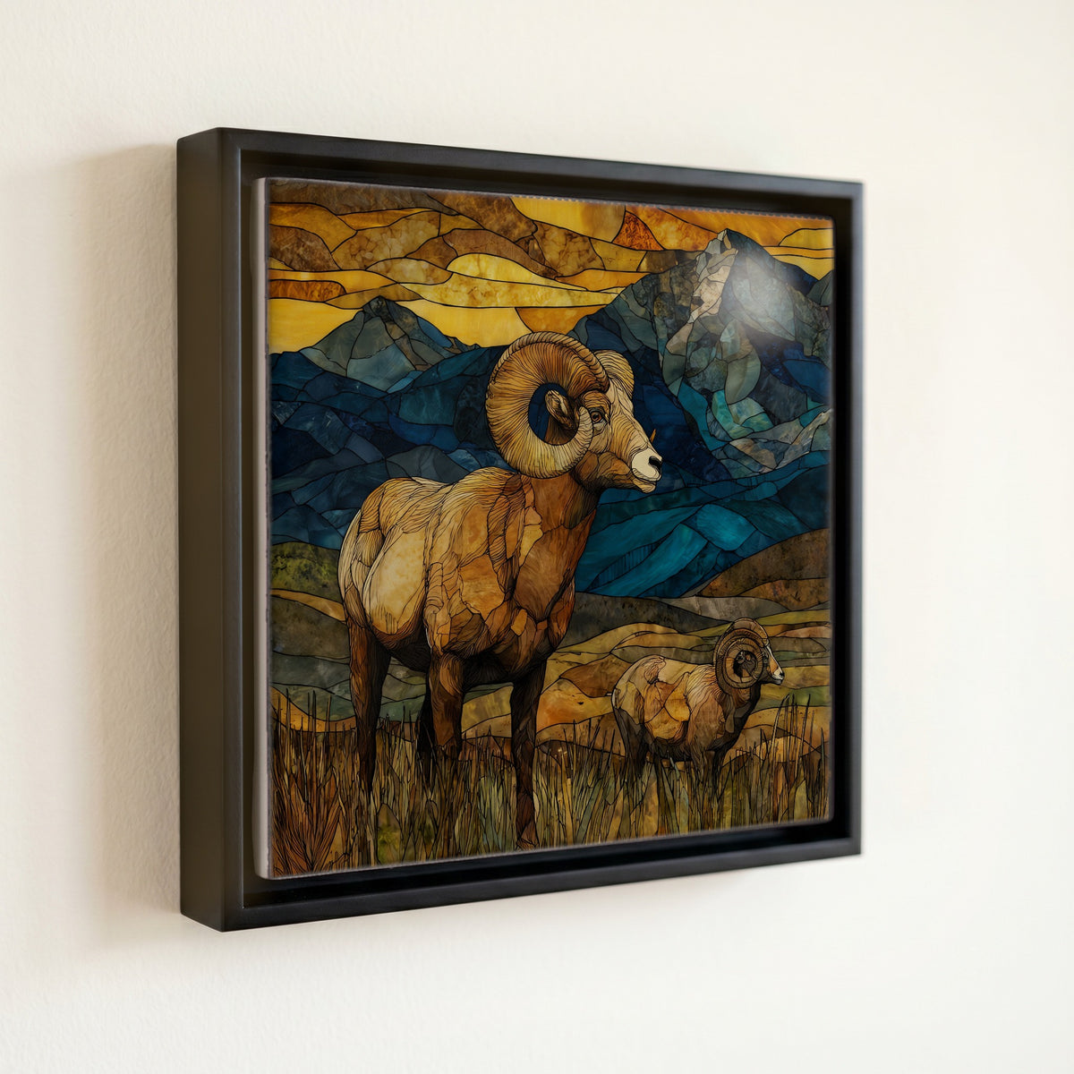 a full-curl bighorn ram — front