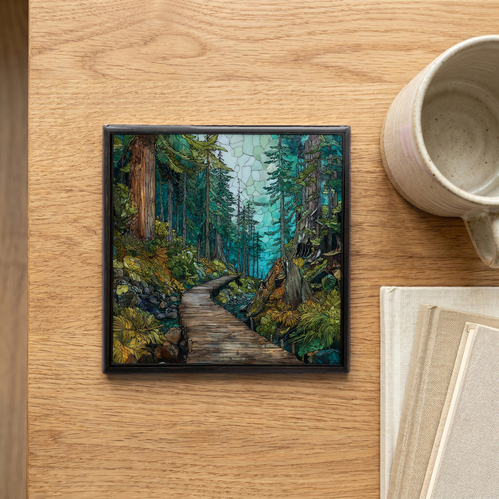 the Bartlett Cove rainforest trail in — scale