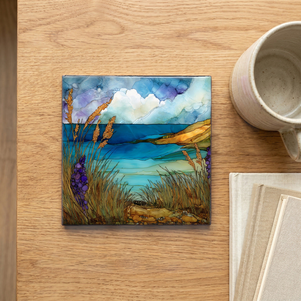 Mackerel Cove on Conanicut — scale