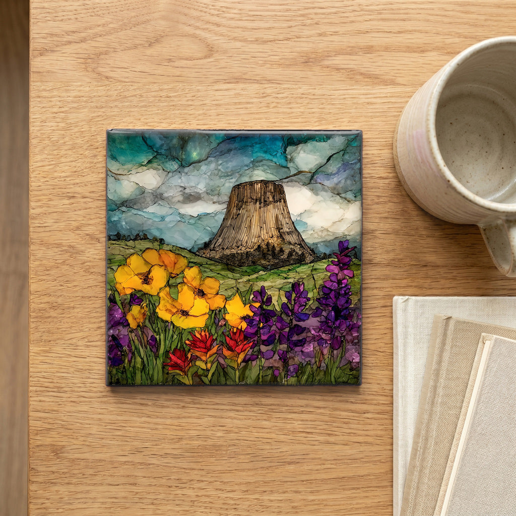Devils Tower — scale