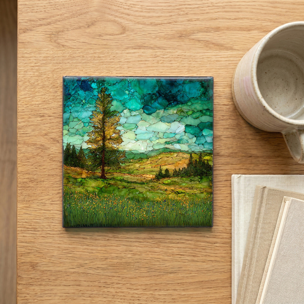 a Pine Ridge meadow — scale