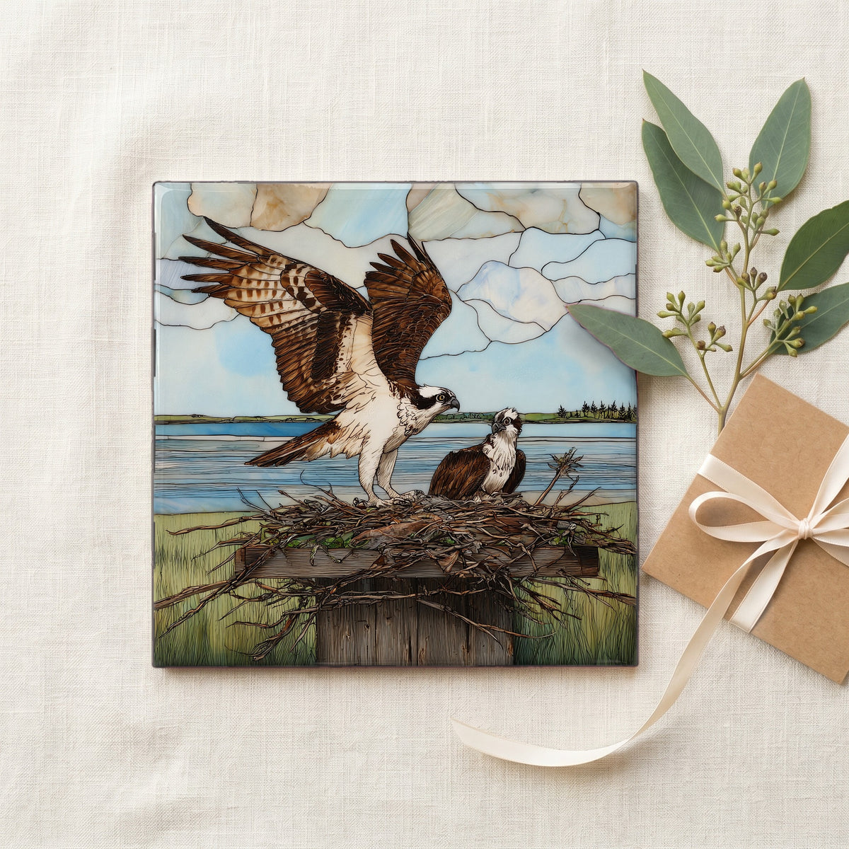 an osprey landing — gifting
