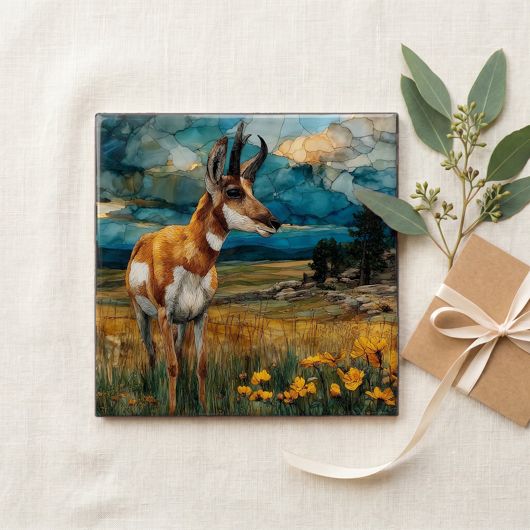 a pronghorn antelope on the Kaibab — gifting