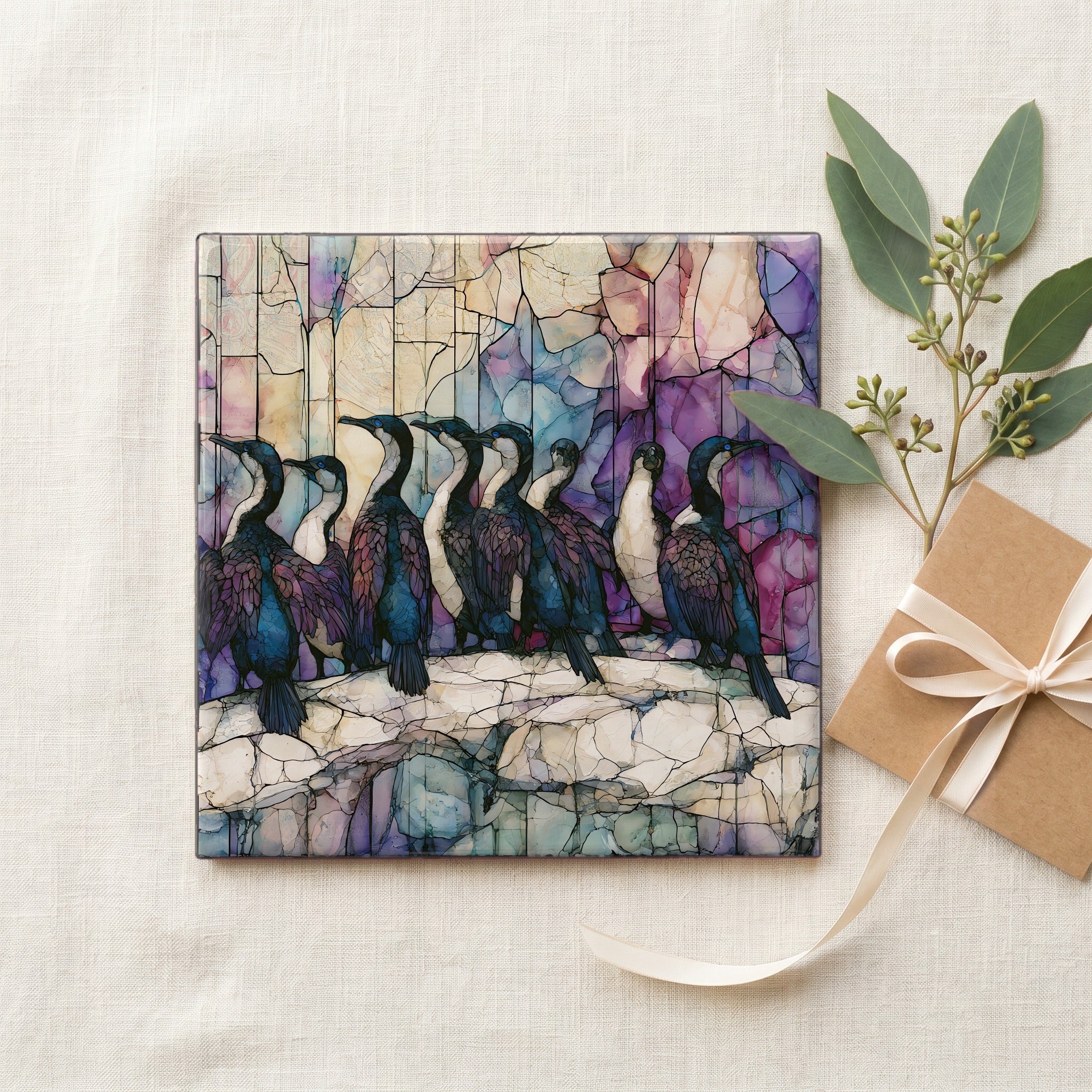 Cape cormorants drying their — gifting