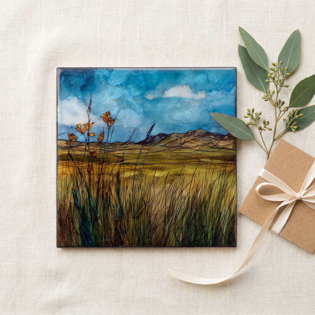 the Cimarron National Grassland — gifting