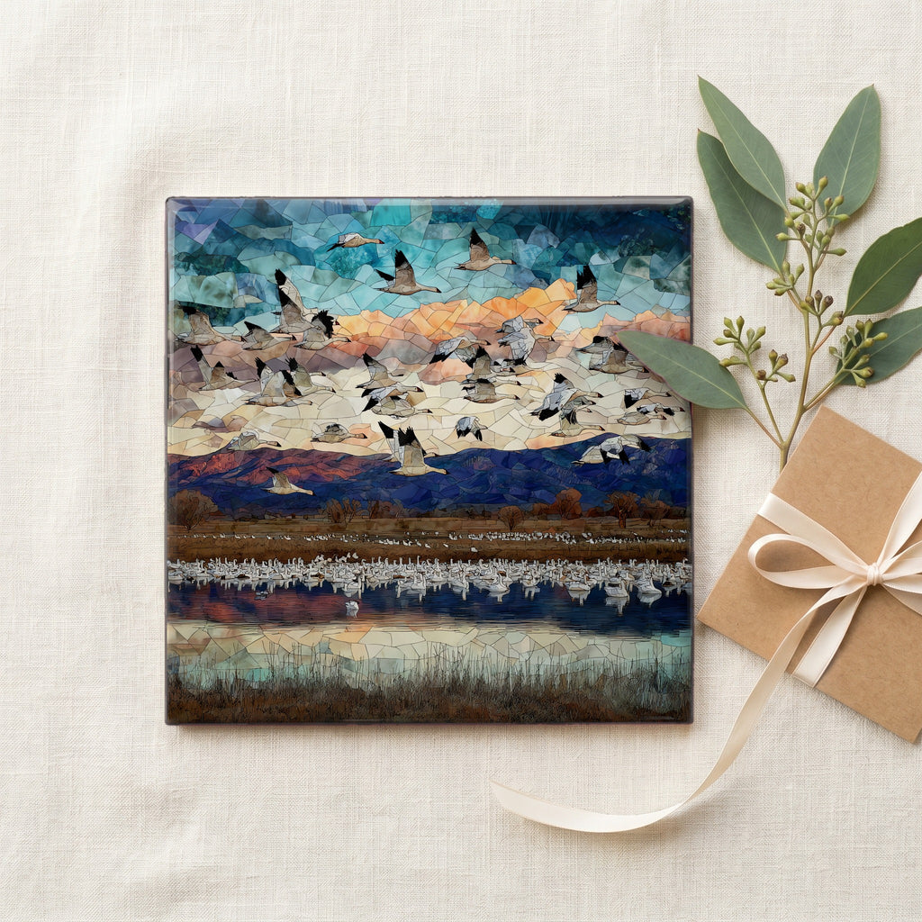 Snow geese — gifting