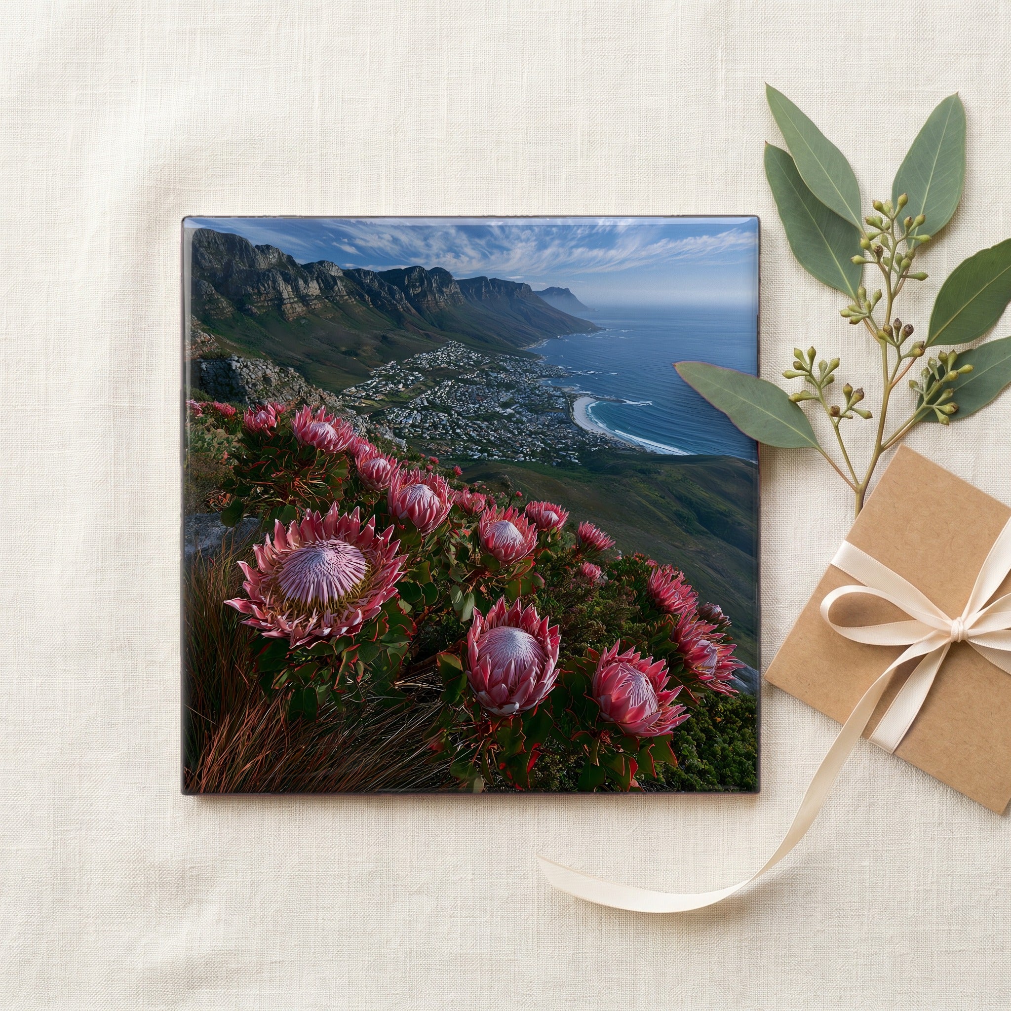 king proteas blooming on a False — gifting