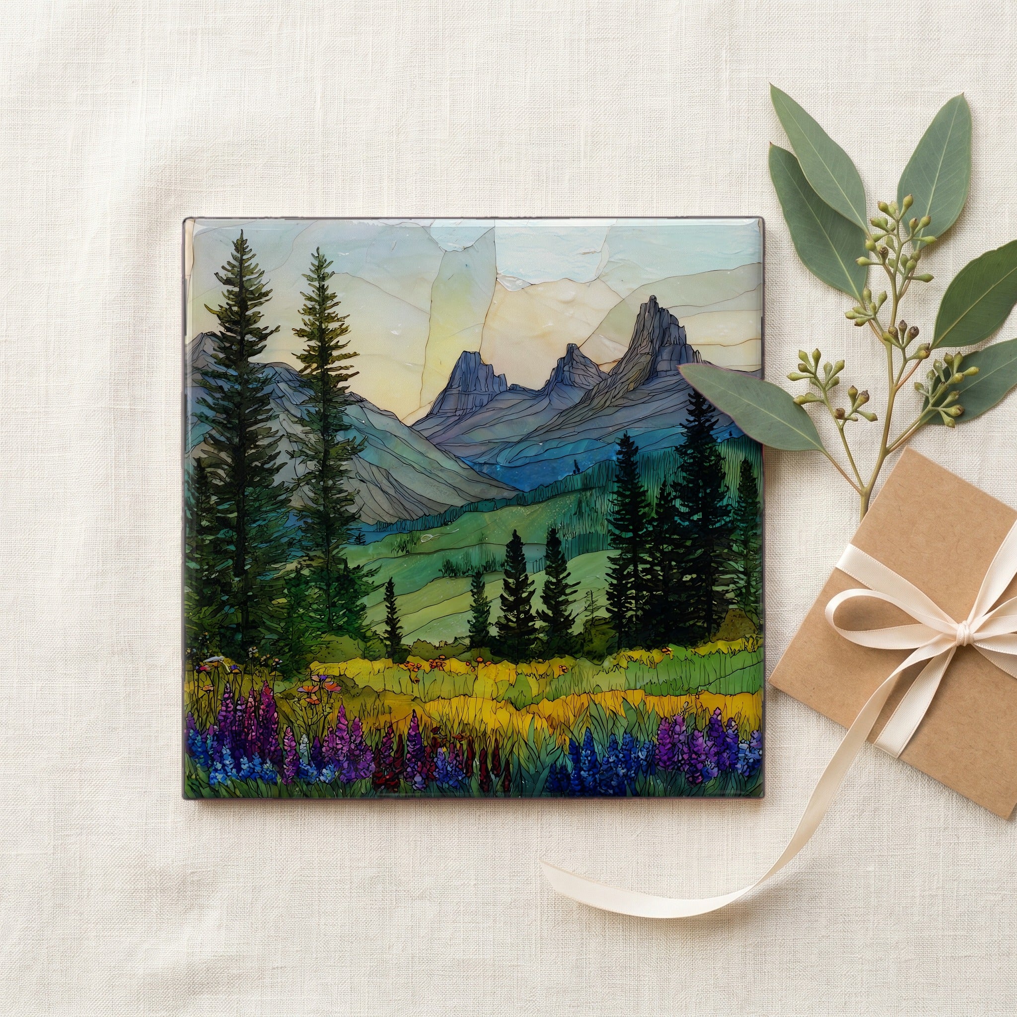 Shoshone National Forest — gifting