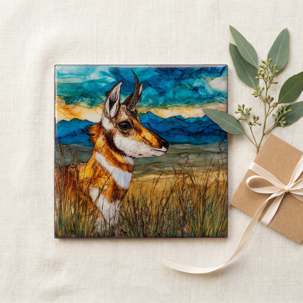 a pronghorn buck alert on the — gifting