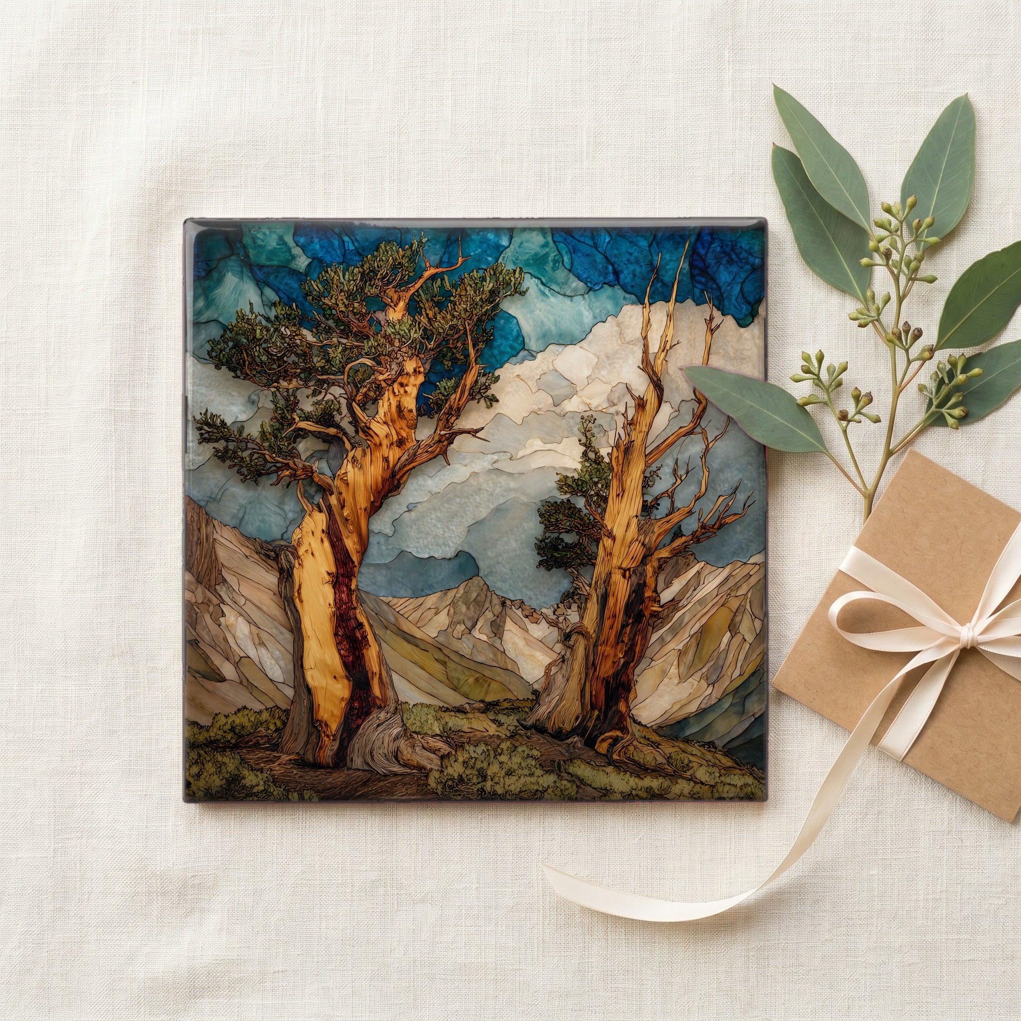 ancient bristlecone pines on — gifting