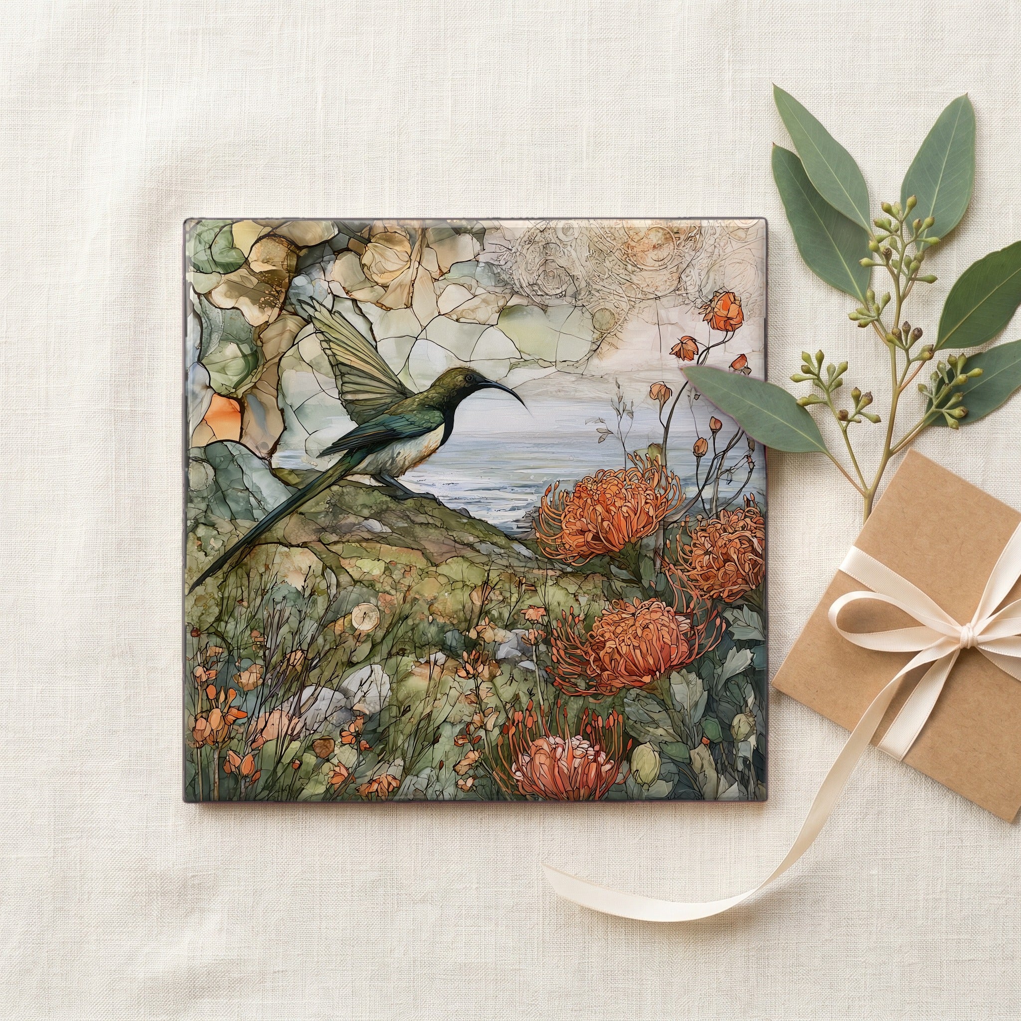 a long-tailed Cape sugarbird — gifting